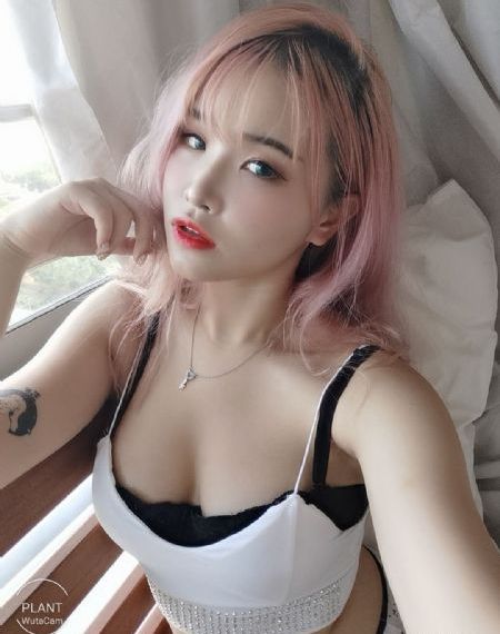 陈情令电视剧在线观看